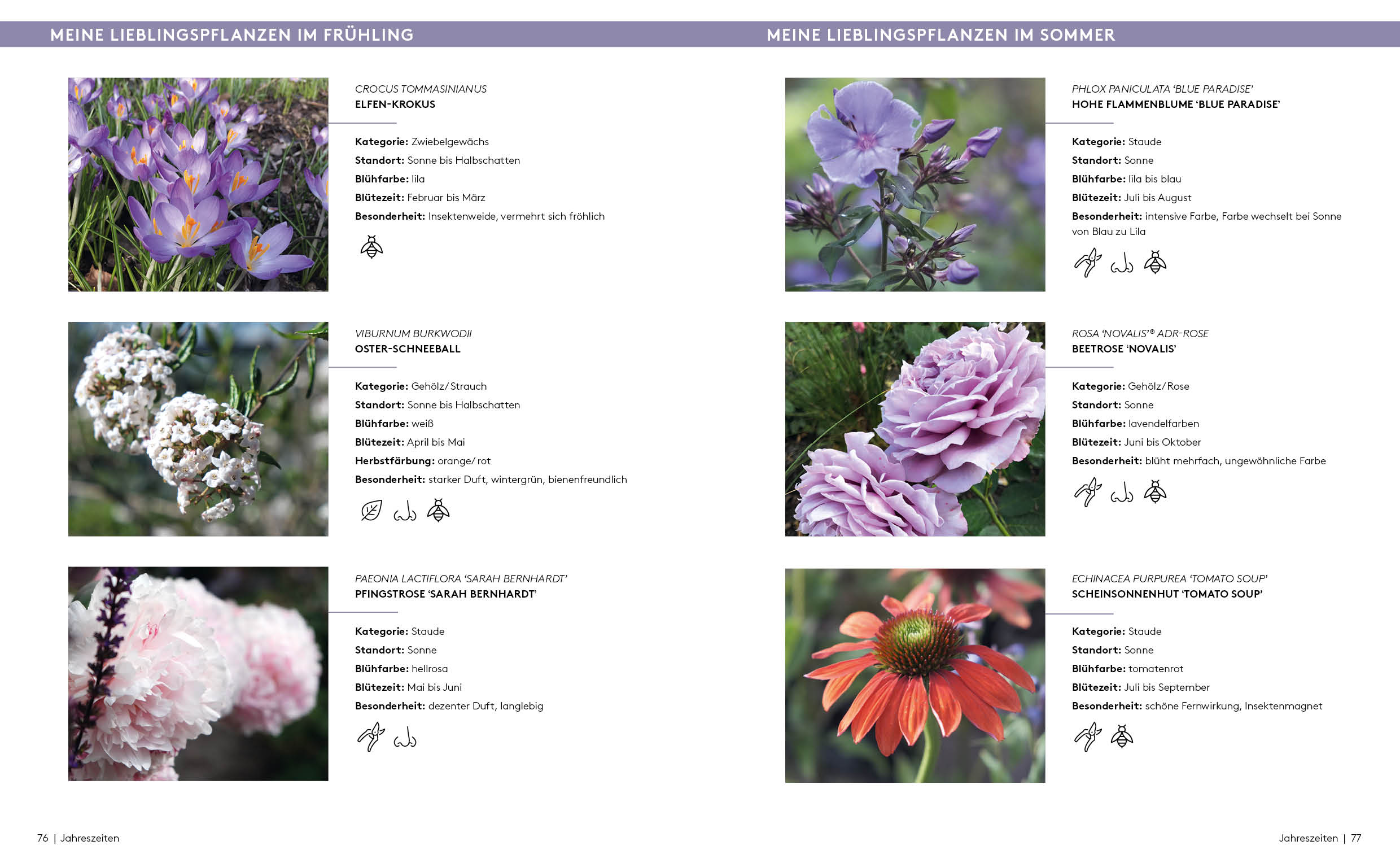 apiwebsitedatei2170721707