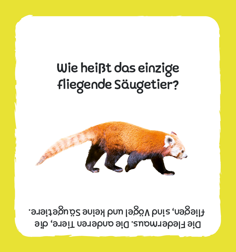 apiwebsitedatei6934769347