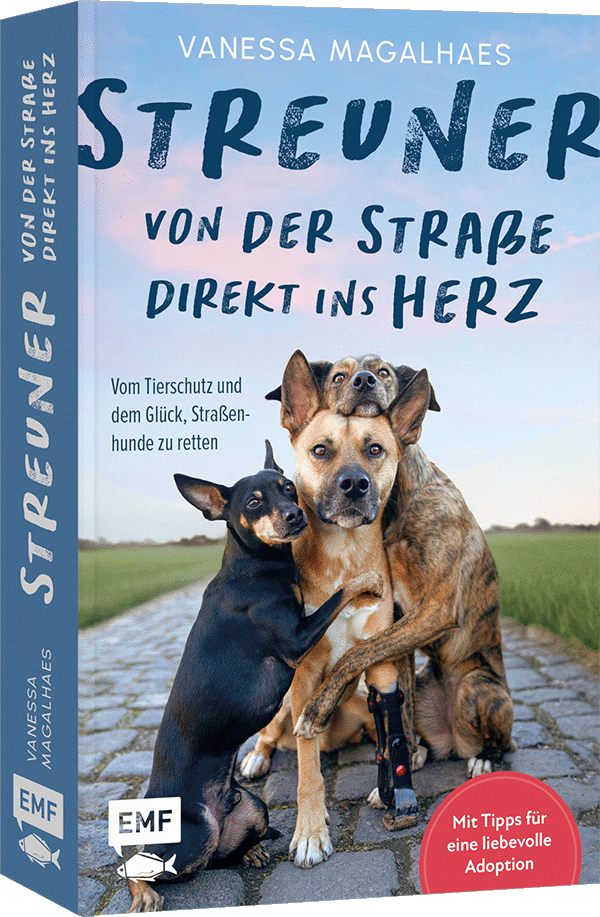 Streuner - von der Straße direkt ins Herz