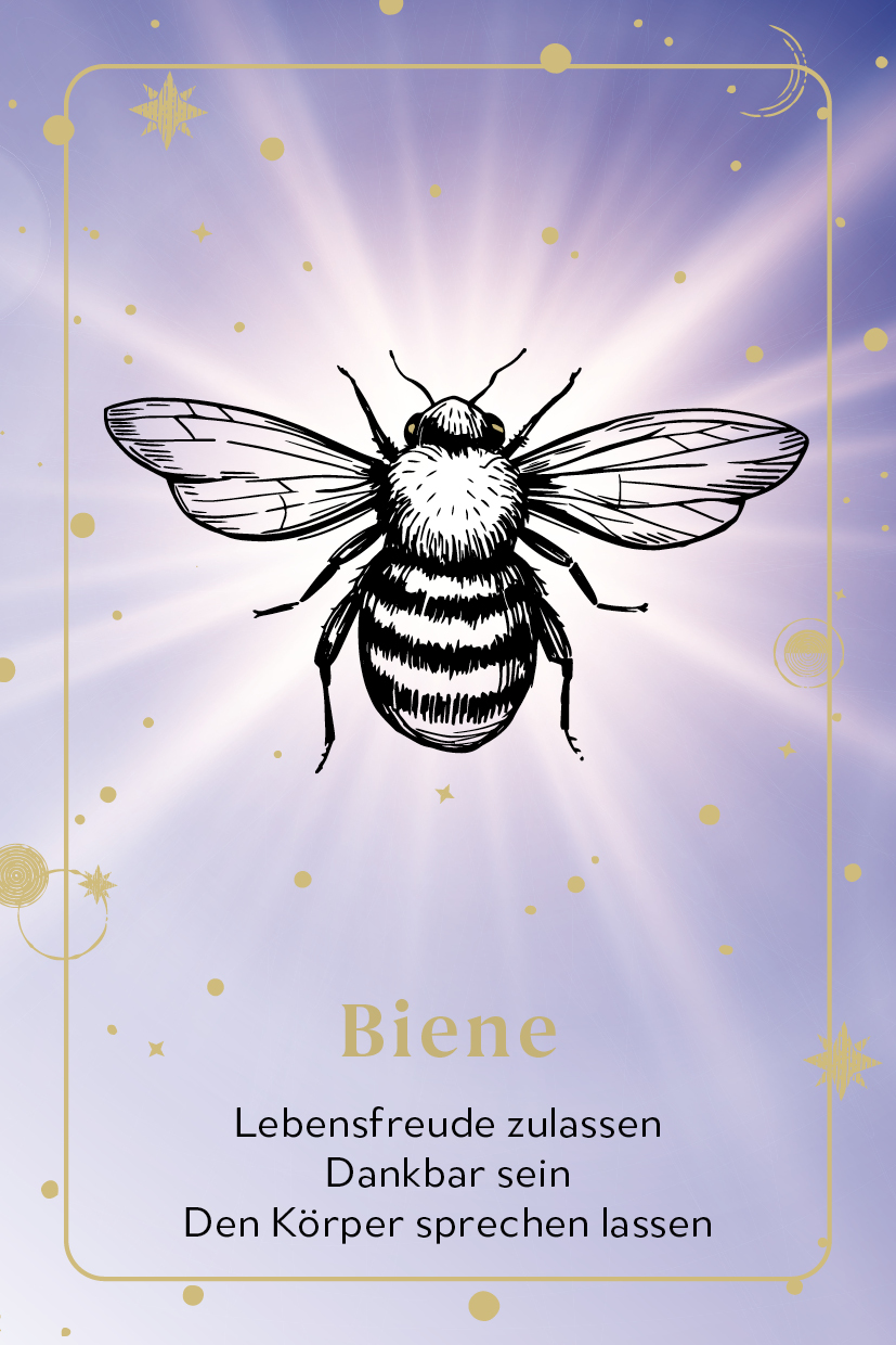 apiwebsitedatei111408111408