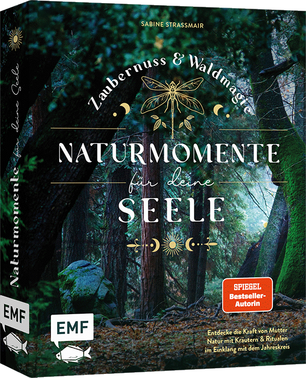 Zaubernuss und Waldmagie – Naturmomente für deine Seele