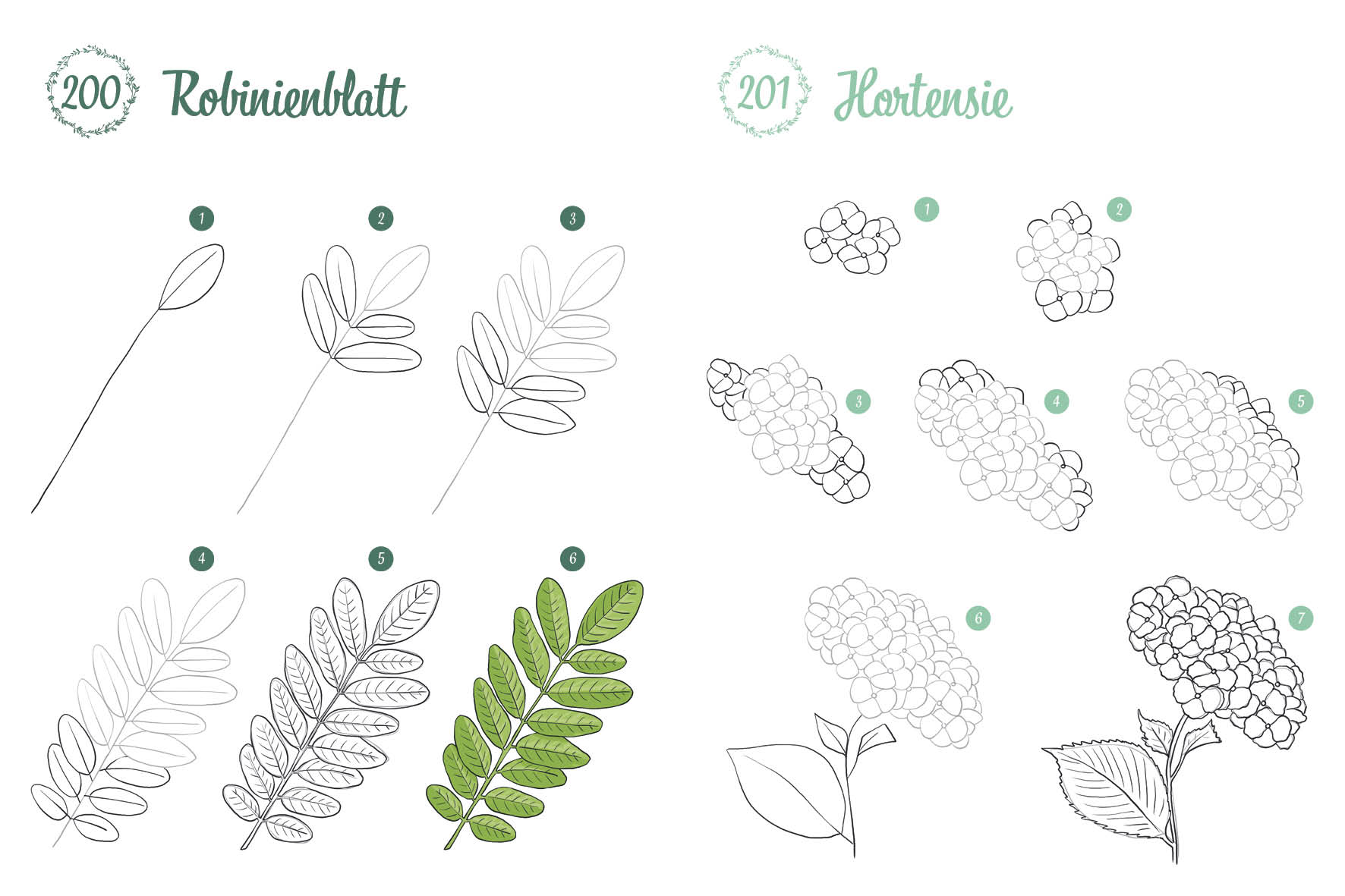 apiwebsitedatei105415105415
