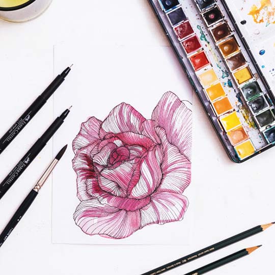 Rose zeichnen mit Watercolor-Effekt