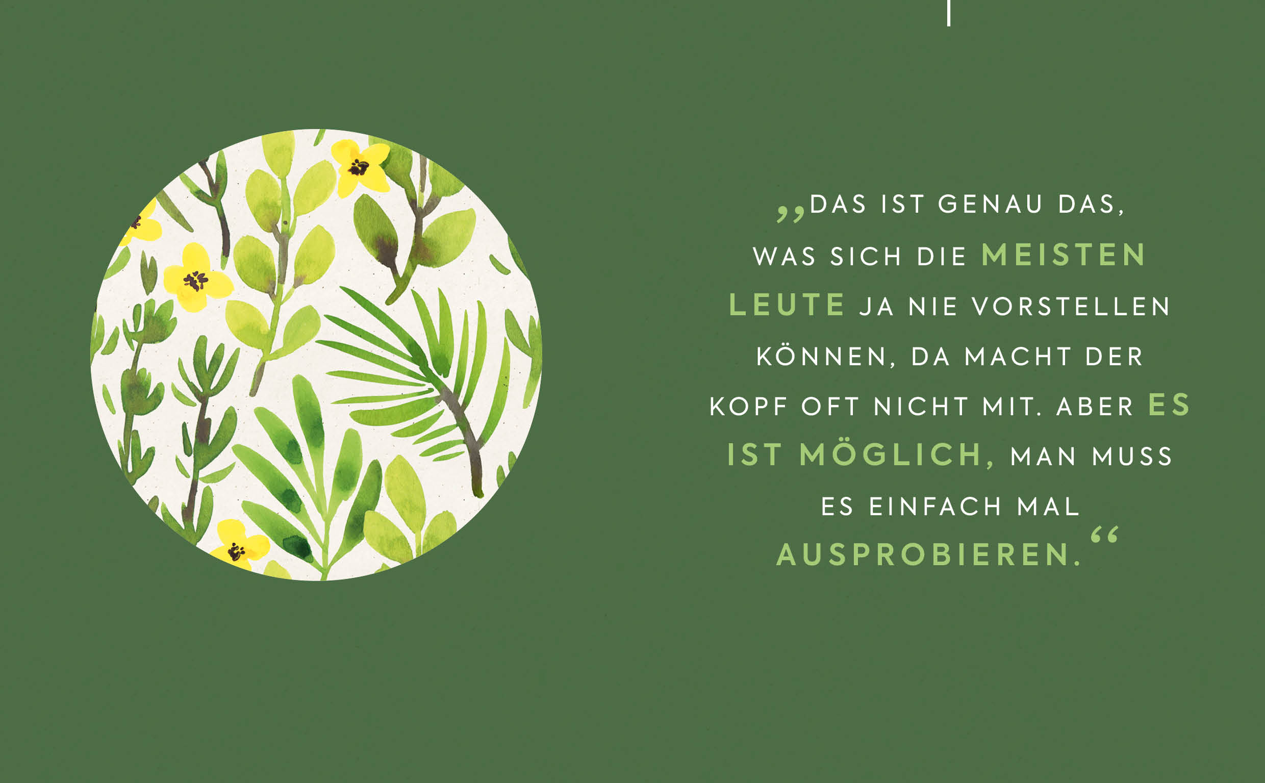 apiwebsitedatei2408124081 apiwebsitedatei2408124081