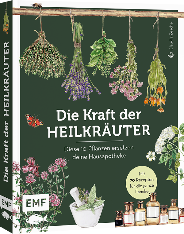 Die Kraft der Heilkräuter – diese 10 Pflanzen ersetzen deine Hausapotheke 
