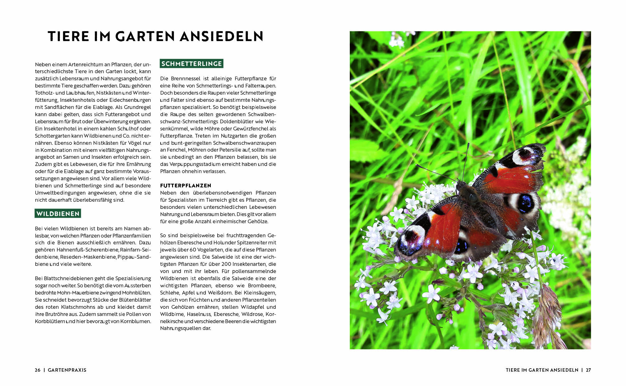 apiwebsitedatei108342108342