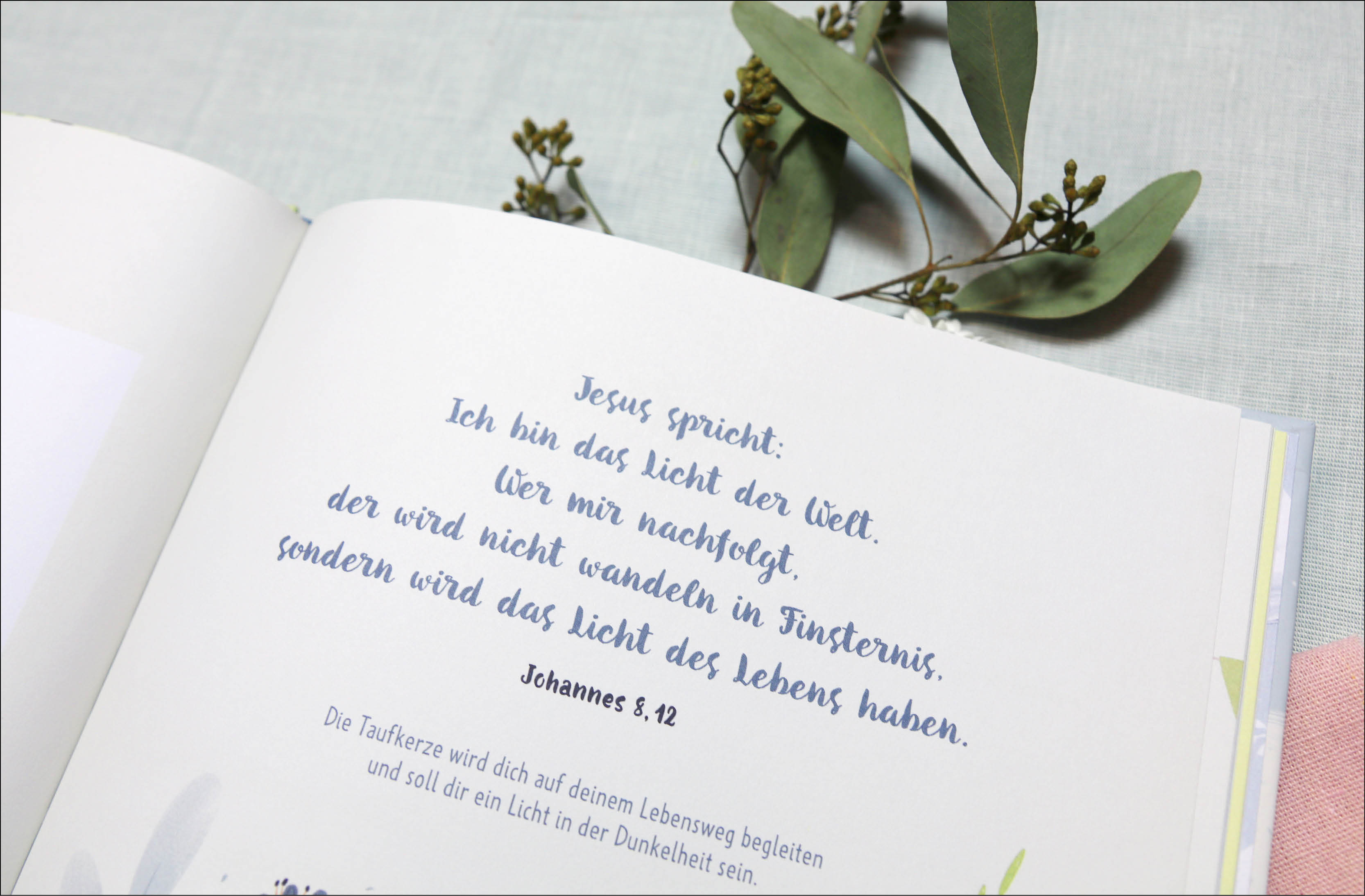 apiwebsitedatei111523111523