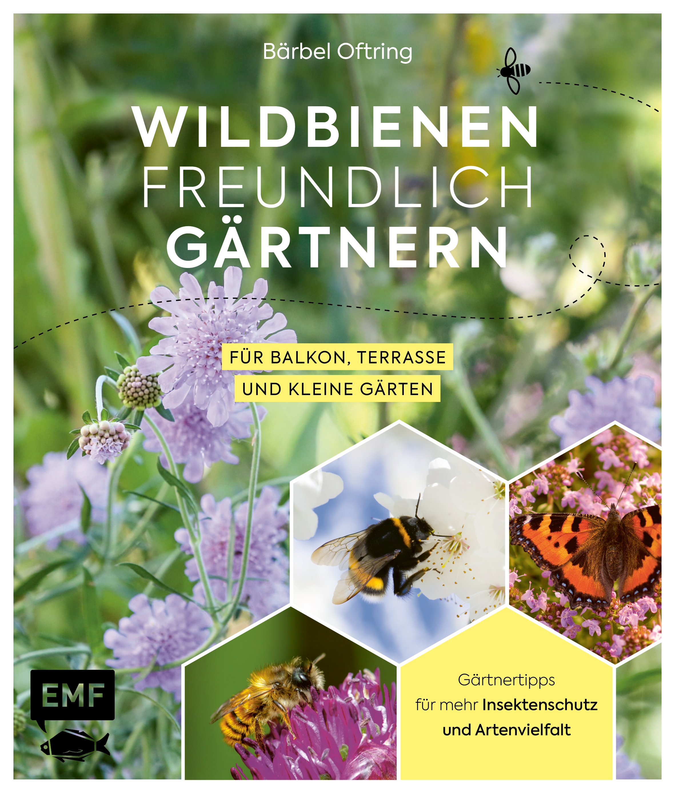 apiwebsitedatei54195419
