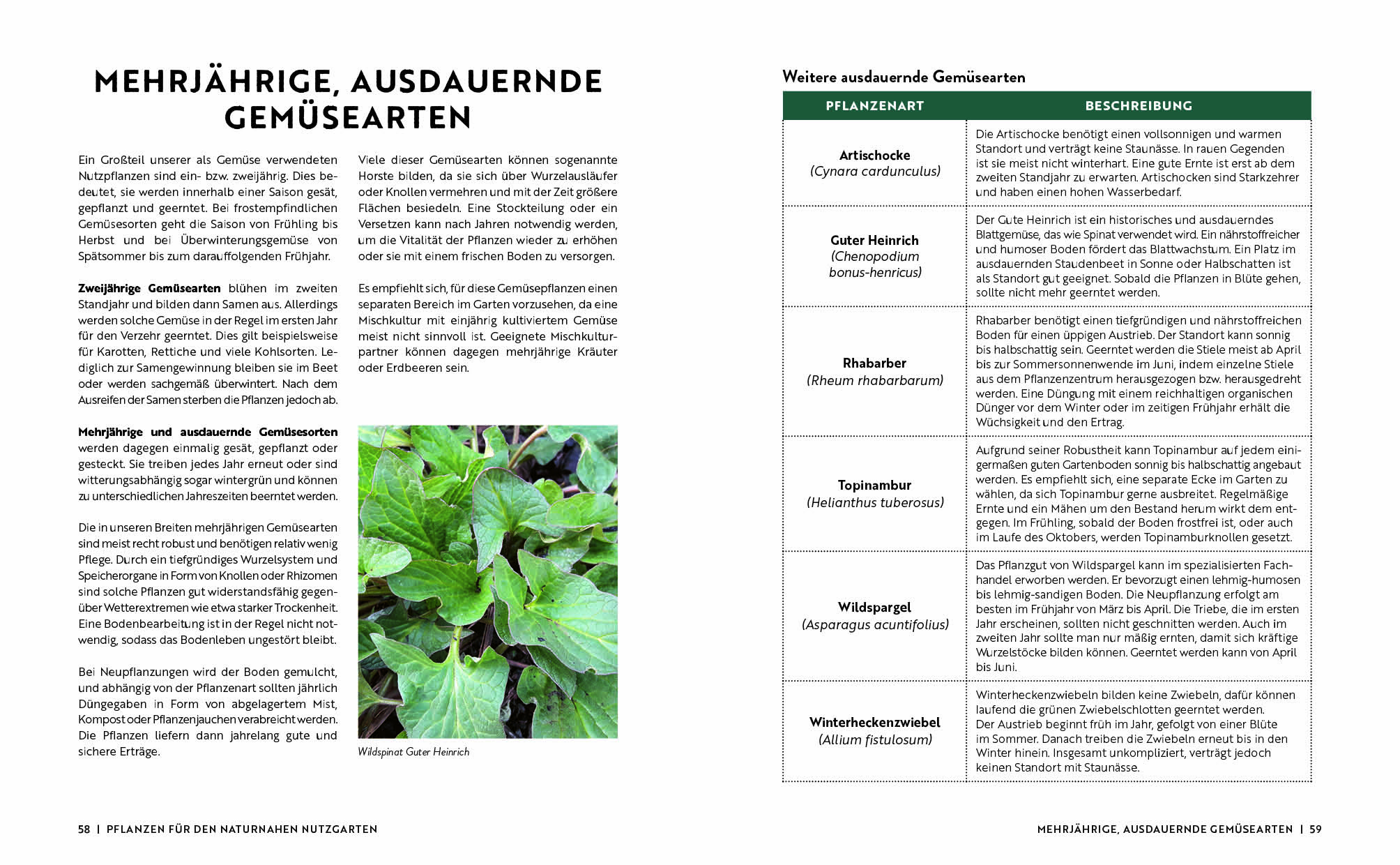 apiwebsitedatei108343108343