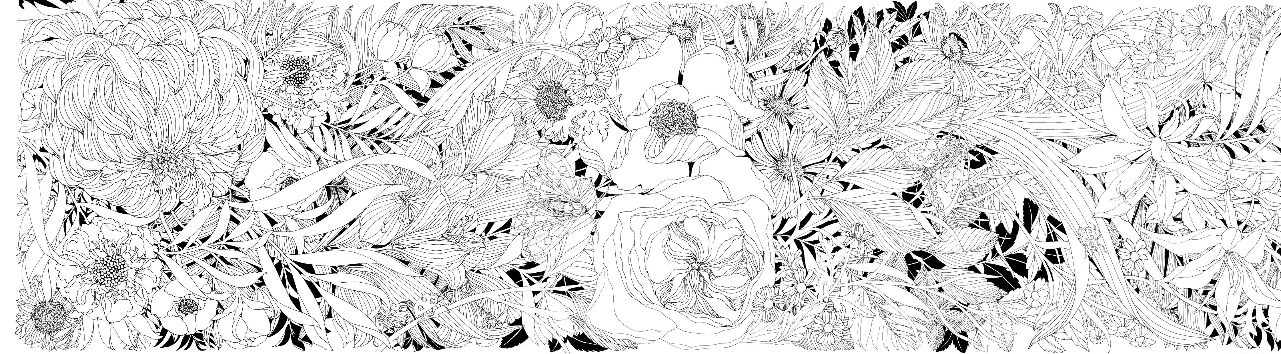 Blüten-Panorama | Atemberaubendes Blumen-Leporello zum Ausmalen und Aufstellen