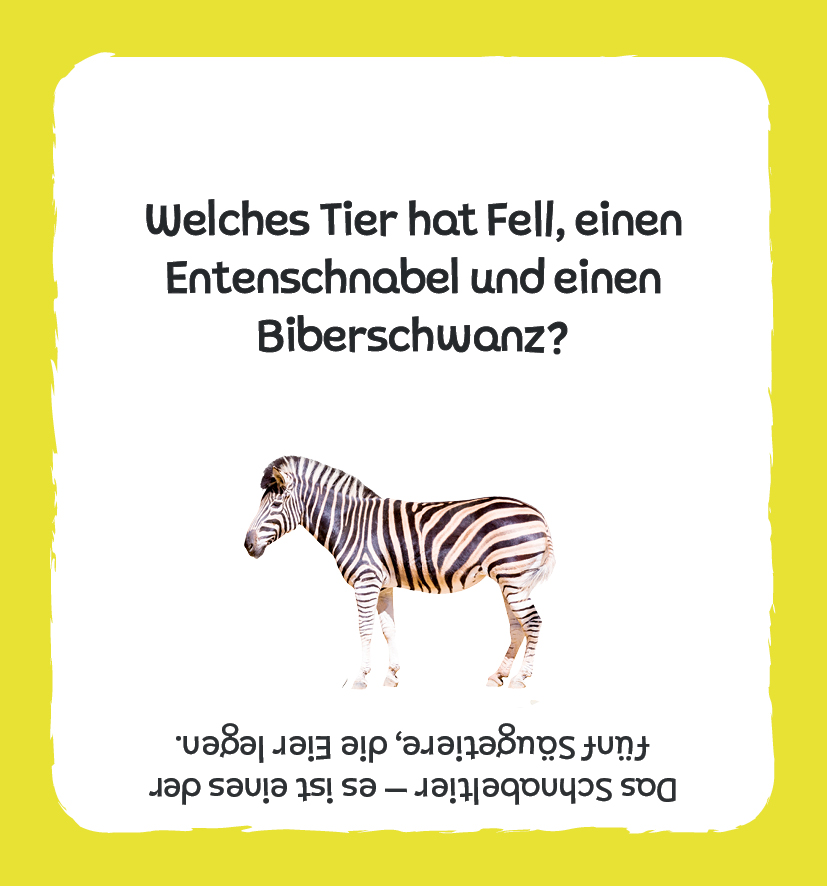 apiwebsitedatei6934669346