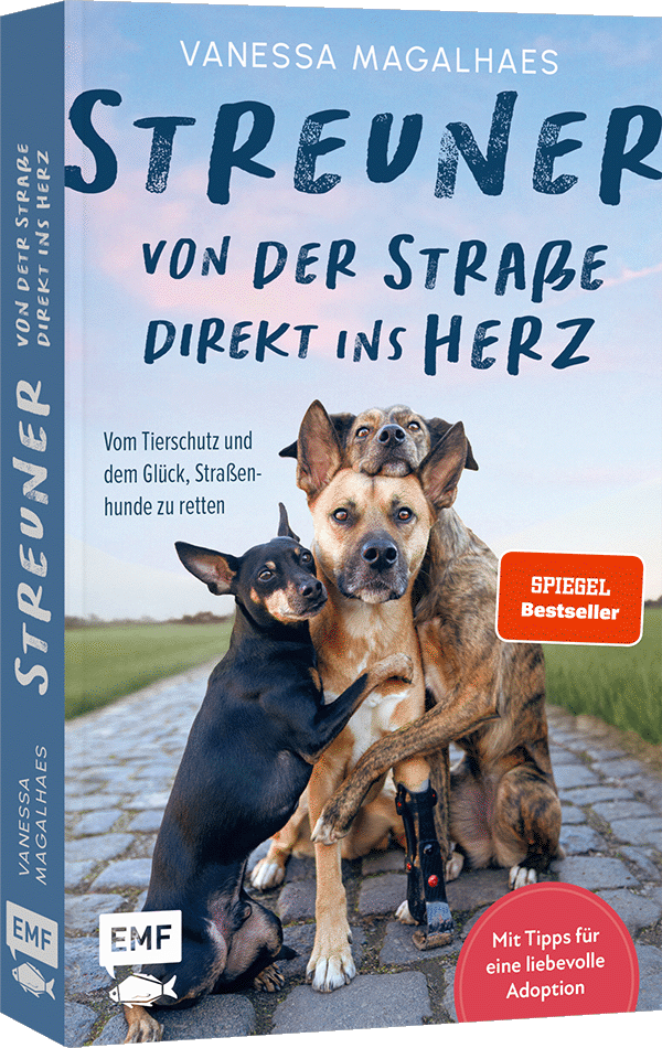Streuner - von der Straße direkt ins Herz