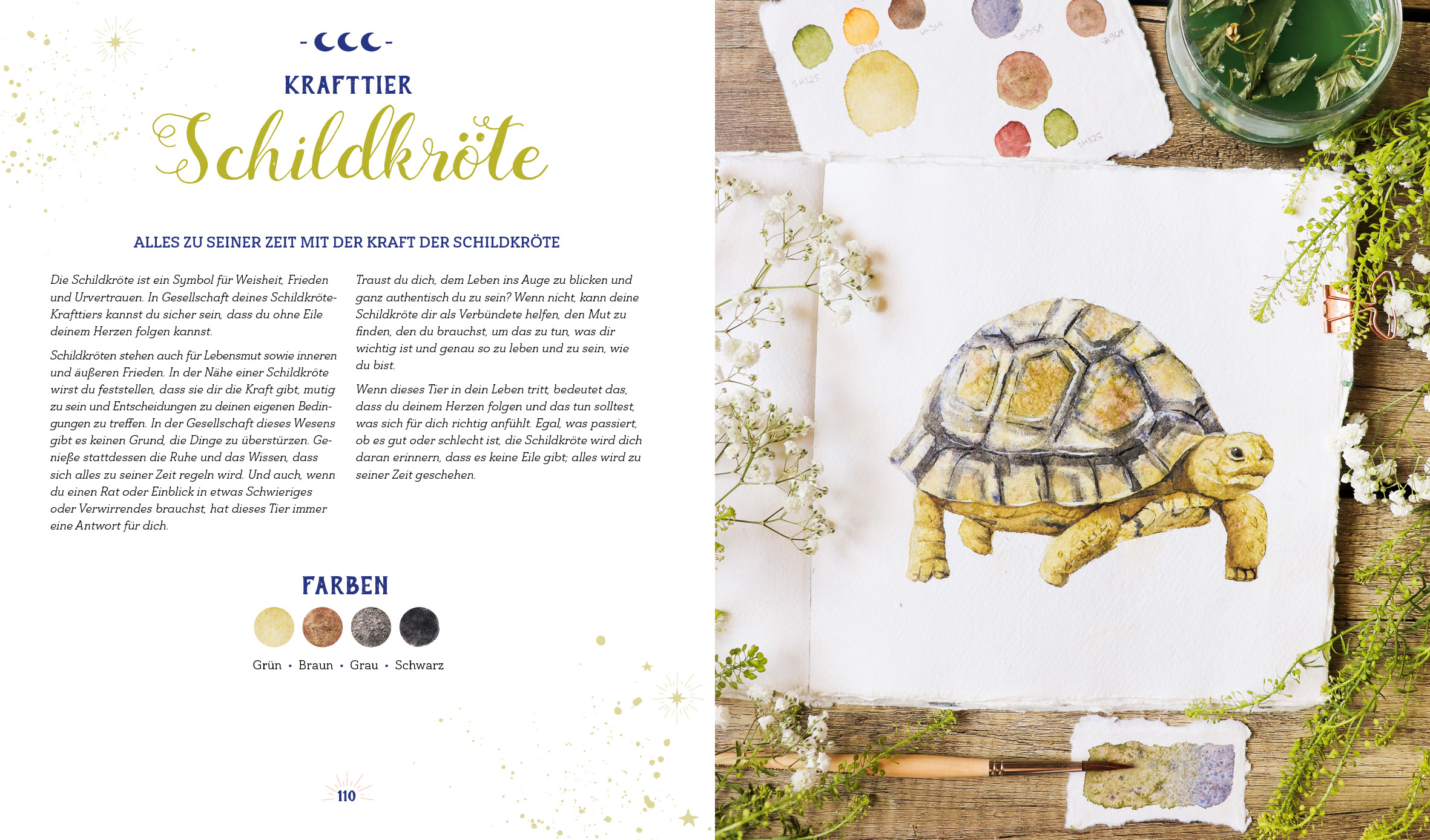apiwebsitedatei4231042310