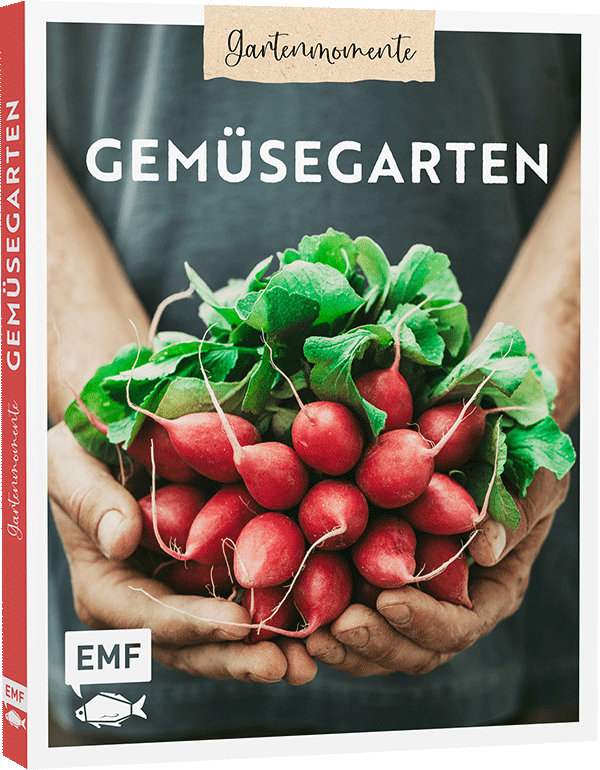 Gartenmomente: Gemüsegarten