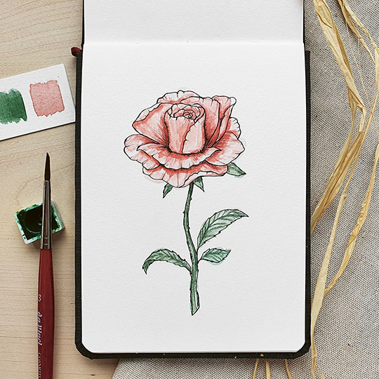 watercolor-rose-malanleitung