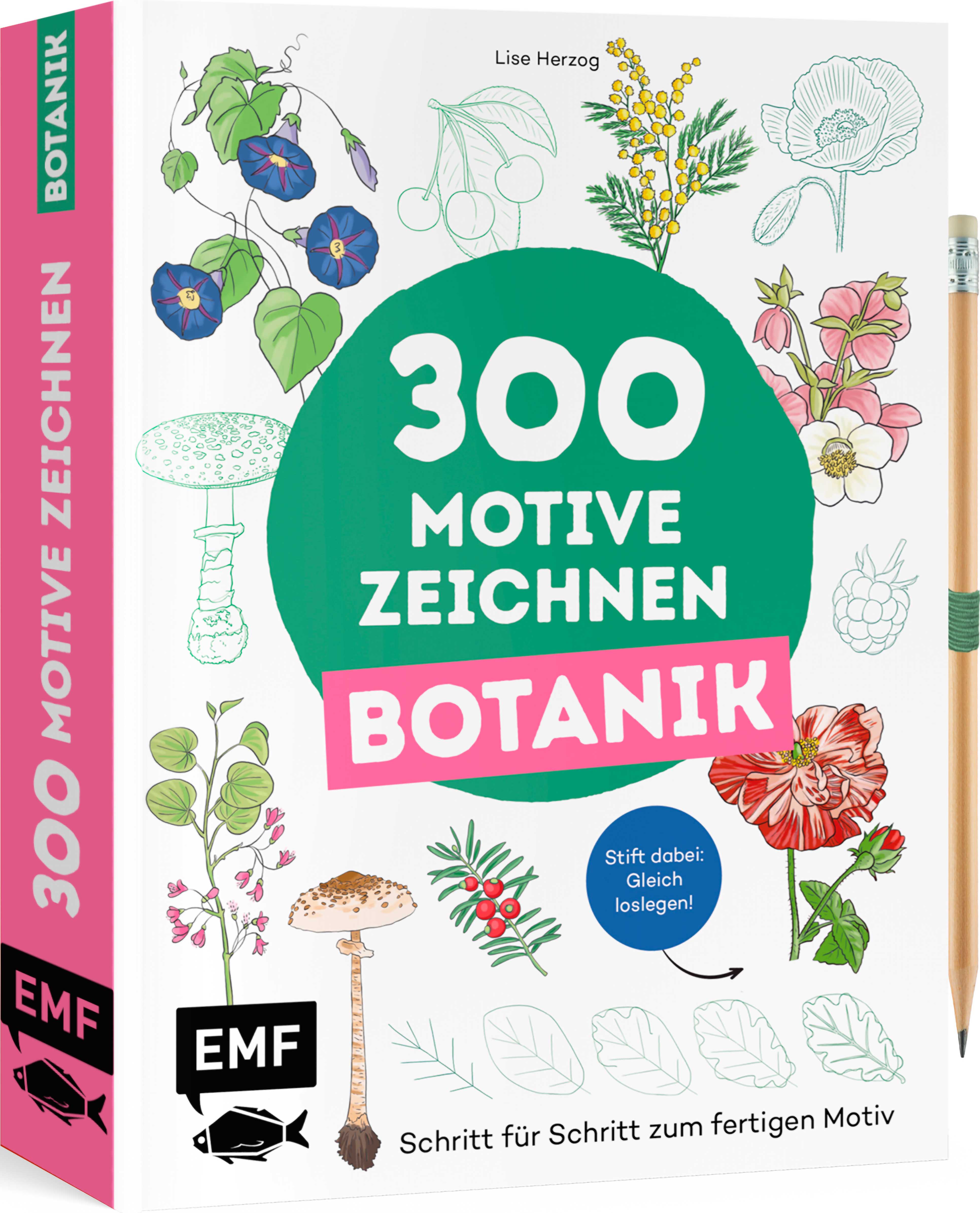 apiwebsitedatei101025101025