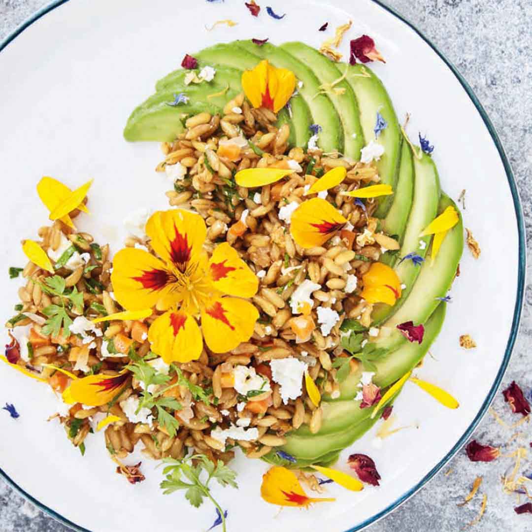 Feta und Kamut im Avocadogarten