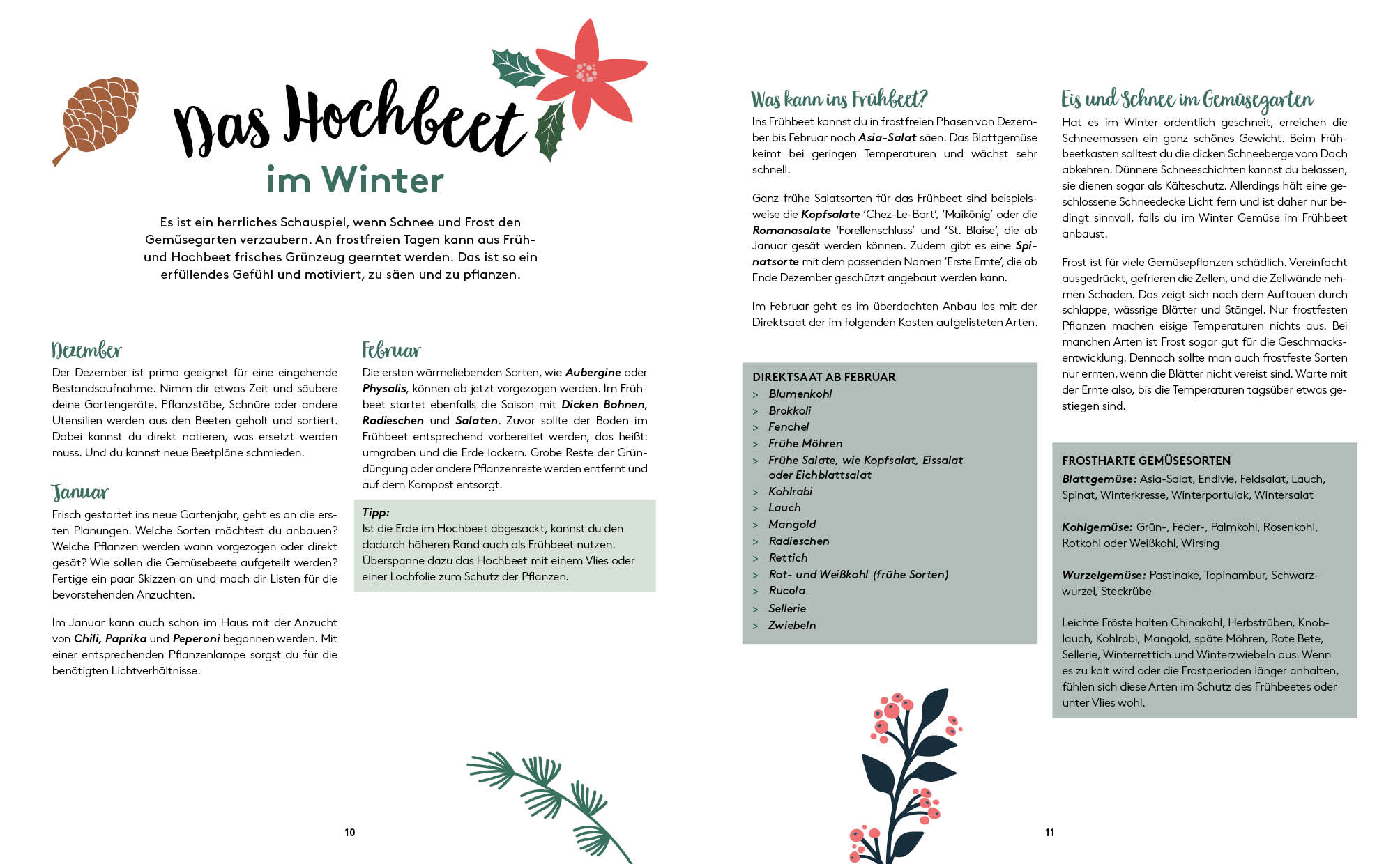 apiwebsitedatei3148031480