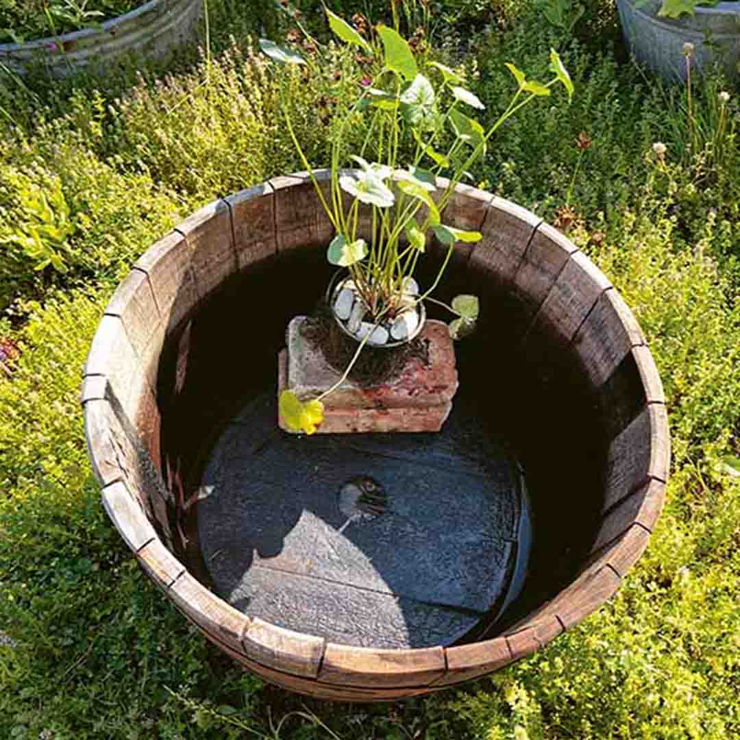 Schritt 2 Anleitung "Miniteich" aus dem Buch "Mein wilder, bunter Garten – Einfach naturnah gärtnern" von Silvia Hardt, auch bekannt als @kleinebaummanufaktur