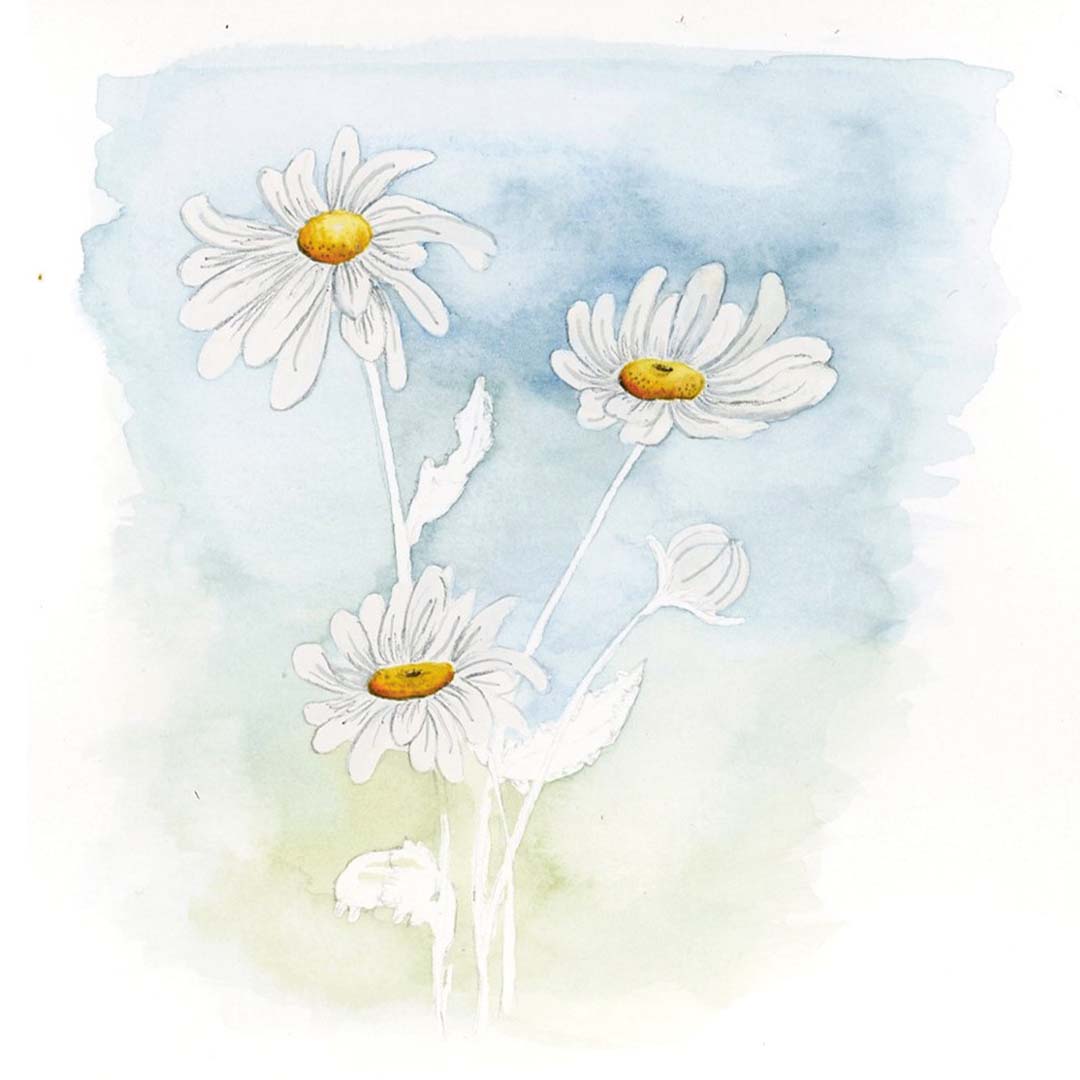 Schritt 4 Anleitung "Gänseblümchen malen" aus dem Buch "Mini Watercolor – Blumen" von Victoria Florentina Wißmann