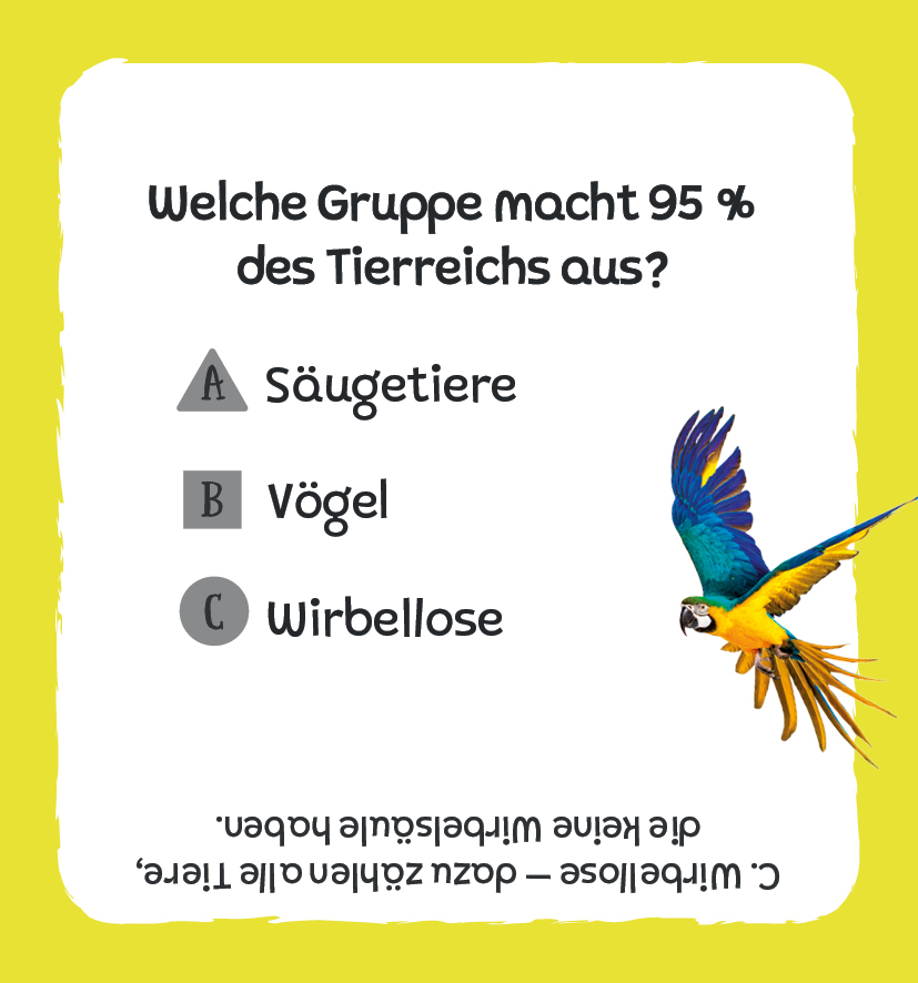 apiwebsitedatei6934969349