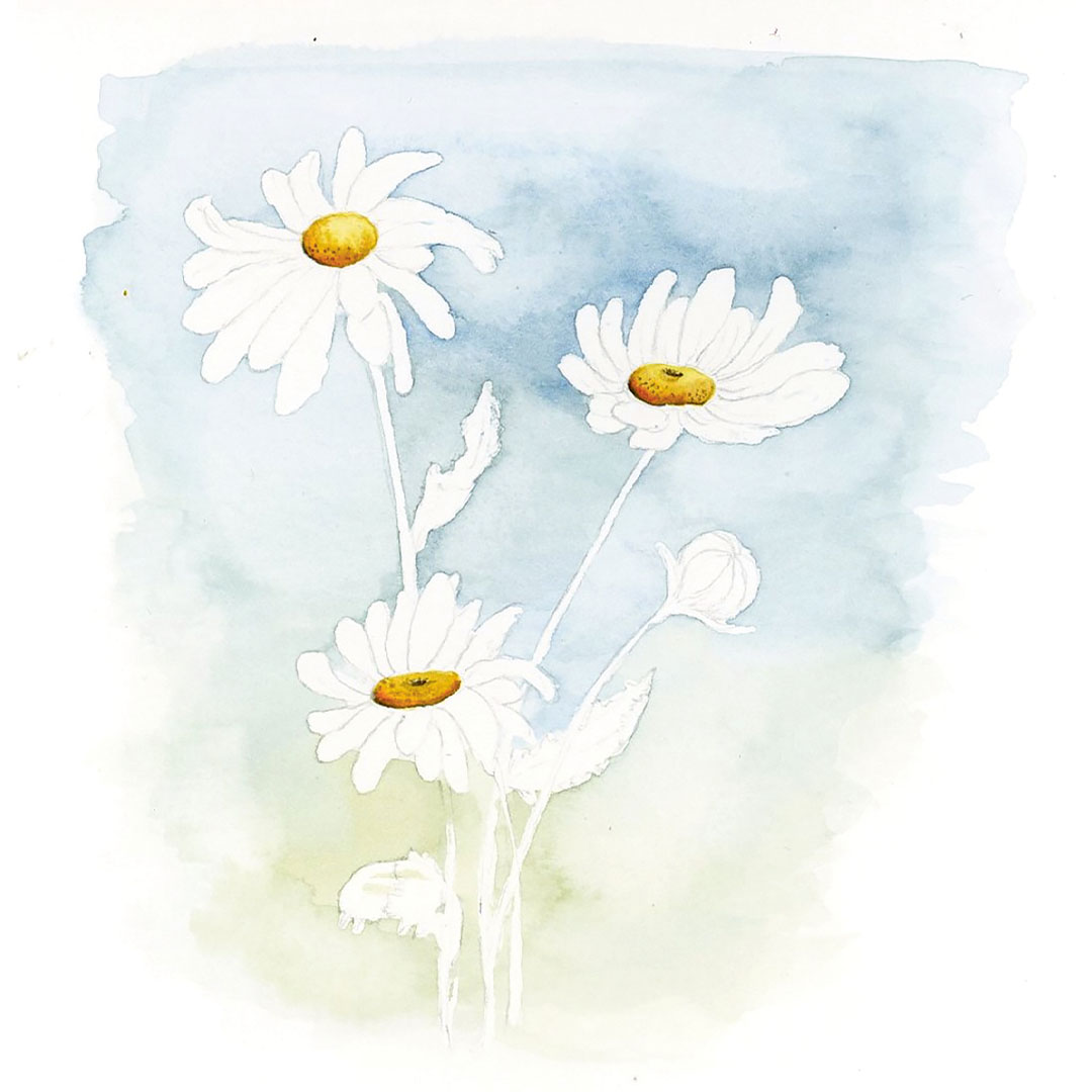 Schritt 3 Anleitung "Gänseblümchen malen" aus dem Buch "Mini Watercolor – Blumen" von Victoria Florentina Wißmann