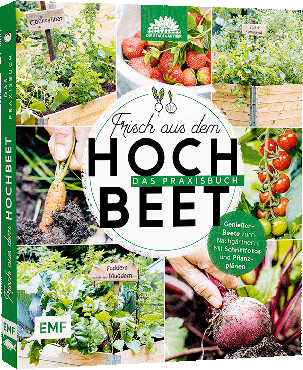 Frisch aus dem Hochbeet – Das Praxisbuch