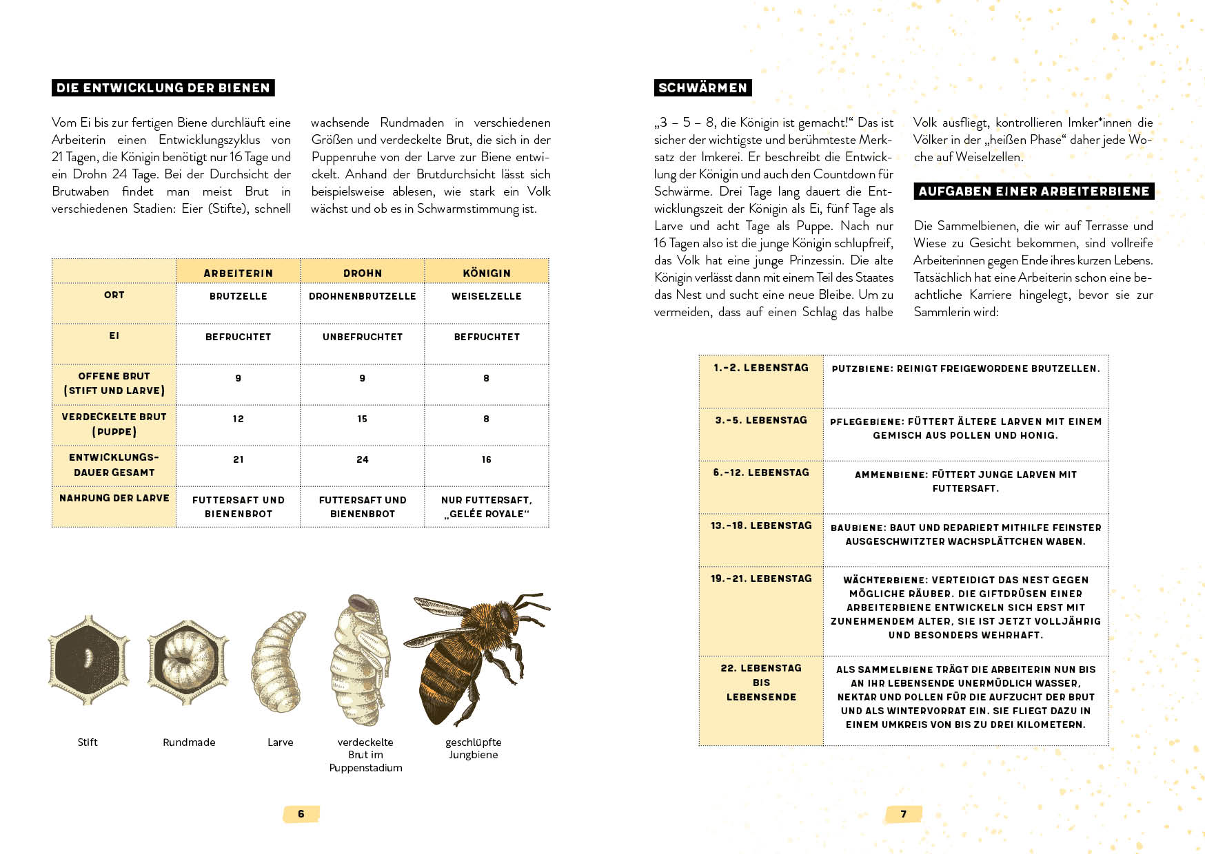 apiwebsitedatei4013740137