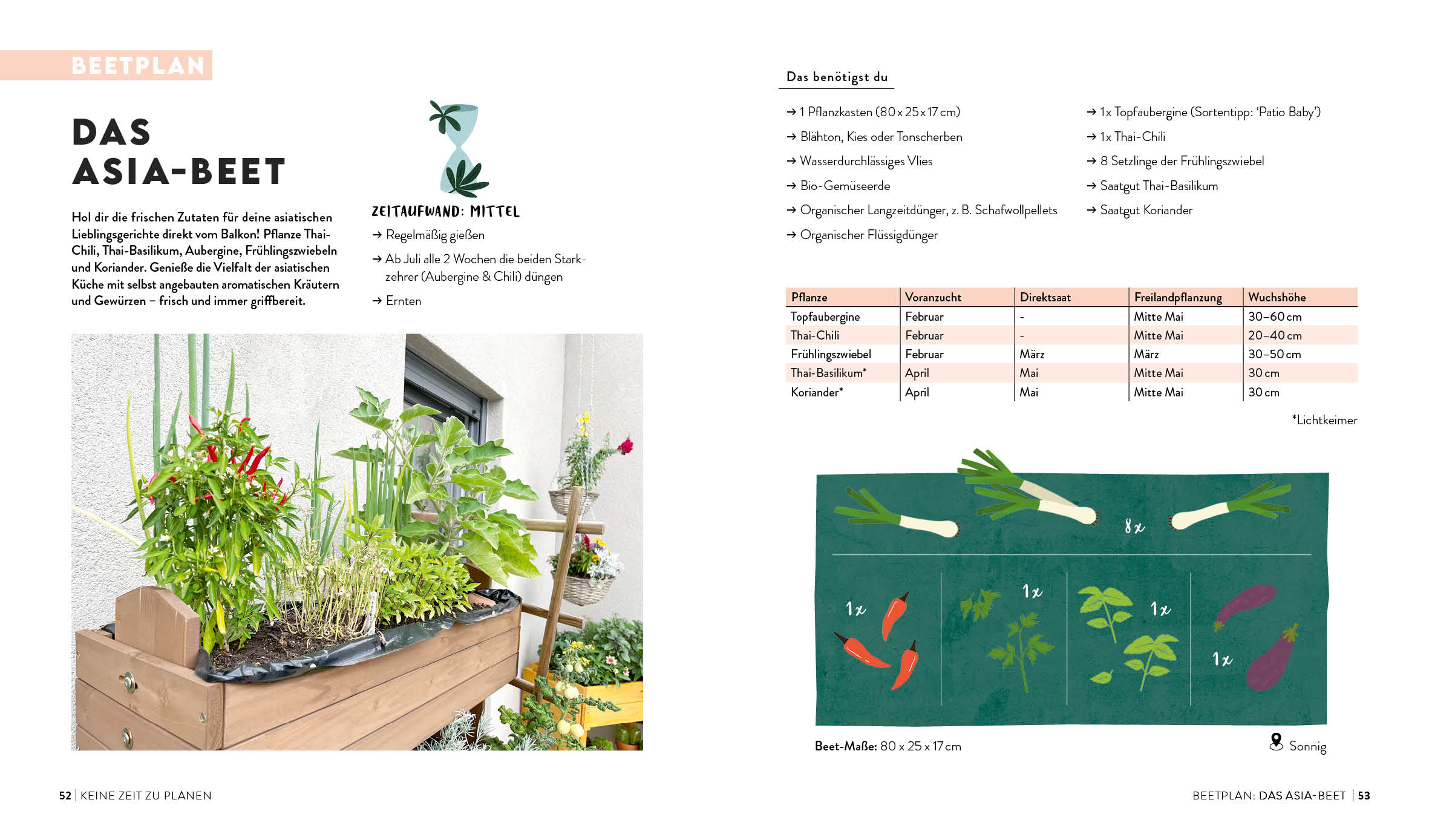 apiwebsitedatei106813106813
