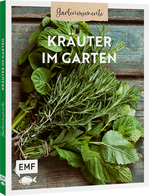 apiwebsitedatei120190120190