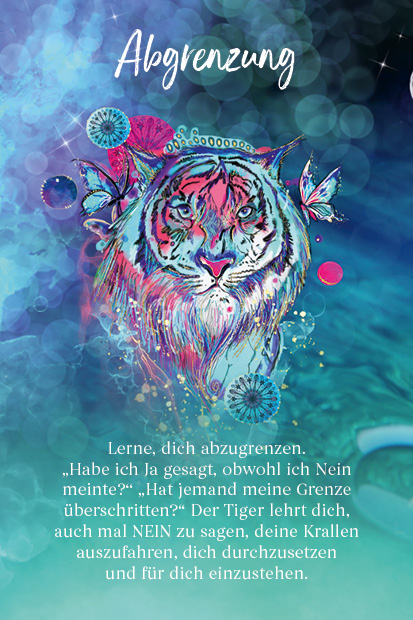 apiwebsitedatei6851768517