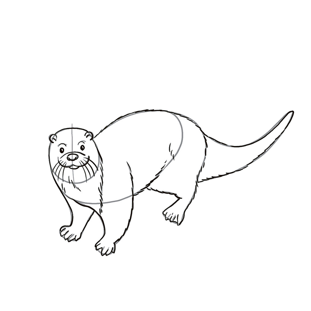 Schritt 7 Anleitung "Otter zeichnen" aus dem Buch "Die ultimative Motiv-Bibliothek – 1000 x Zeichnen" von Lise Herzog