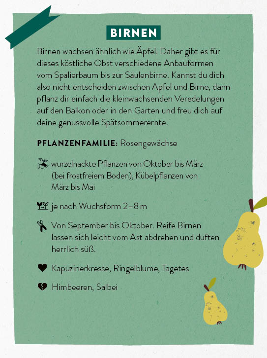 apiwebsitedatei102081102081