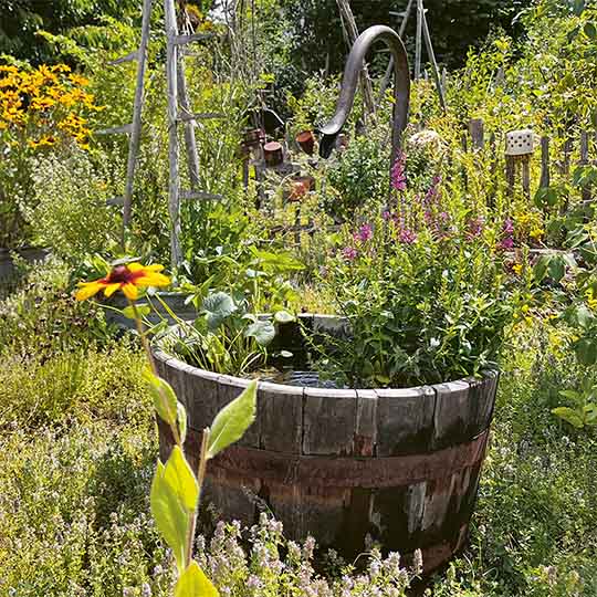 DIY-Anleitung "Miniteich" aus dem Buch "Mein wilder, bunter Garten – Einfach naturnah gärtnern" von Silvia Hardt, auch bekannt als @kleinebaummanufaktur
