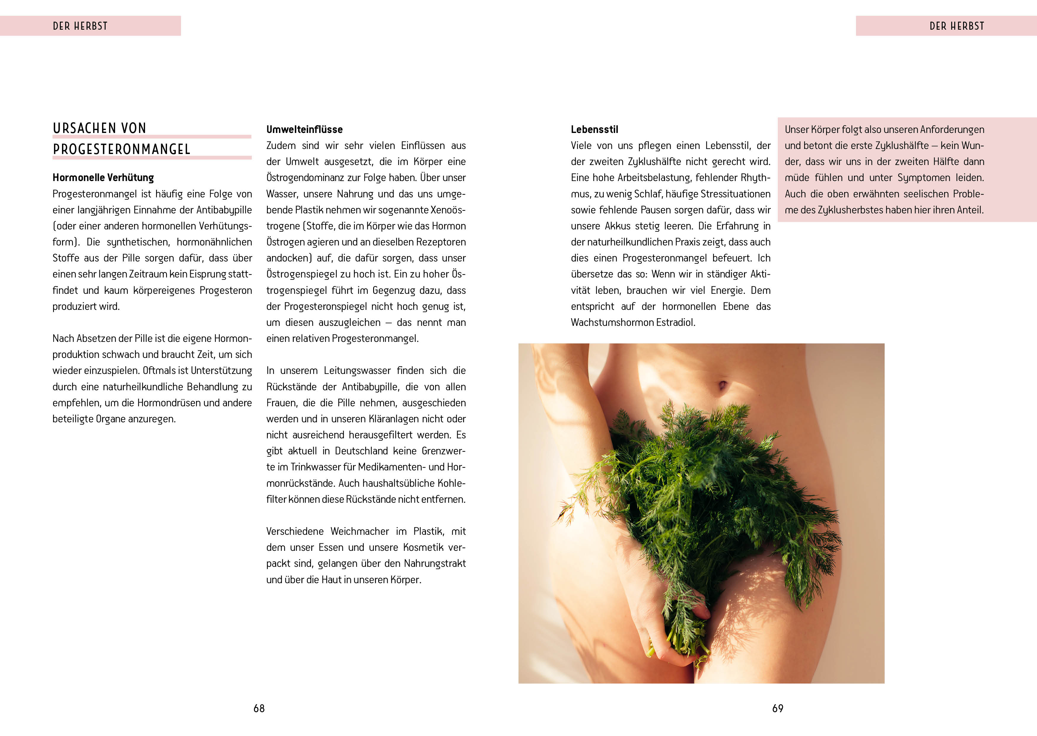apiwebsitedatei2307223072