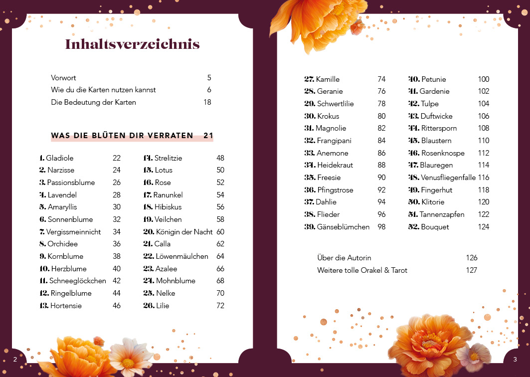 apiwebsitedatei108551108551