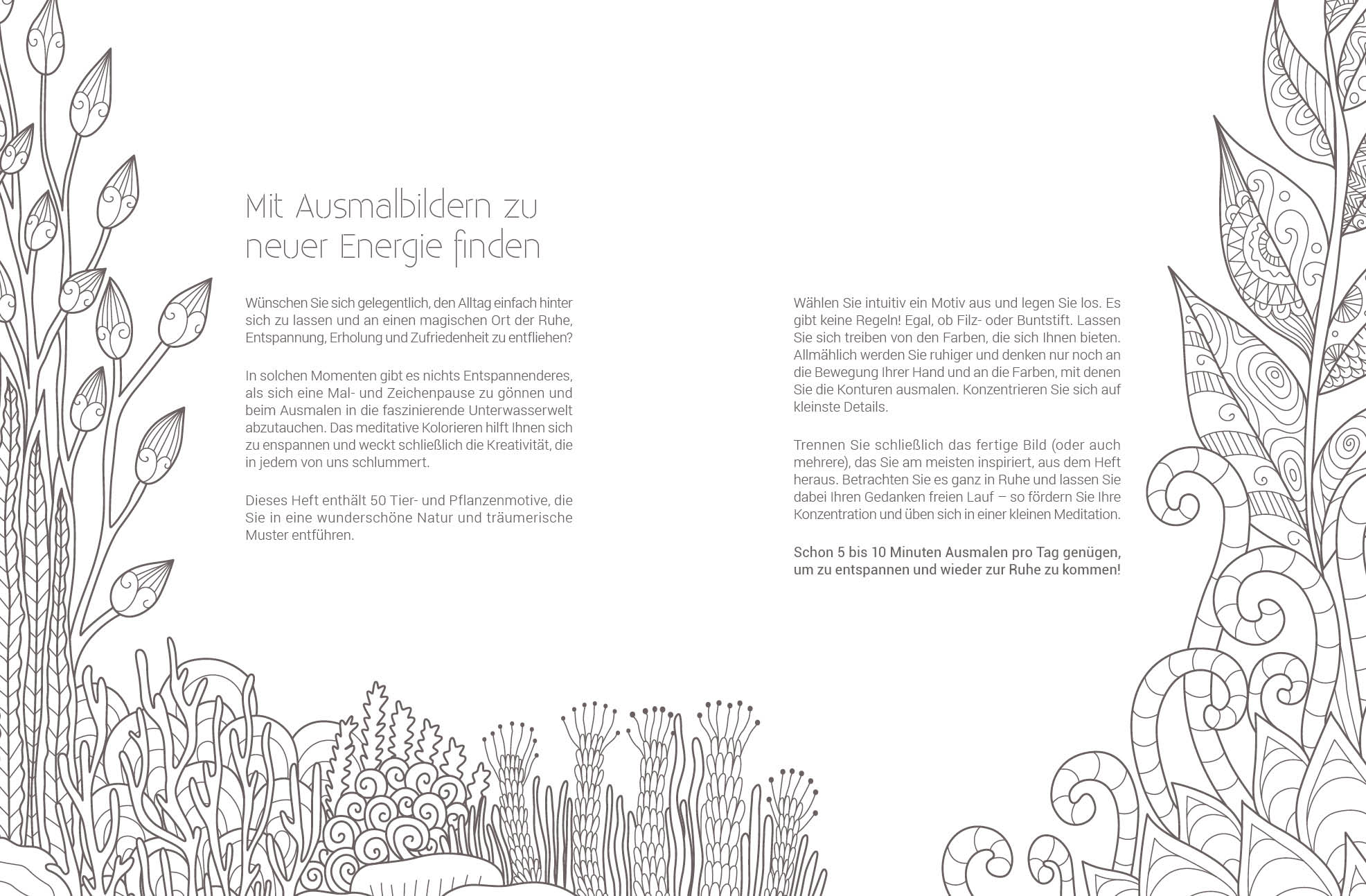 apiwebsitedatei7807578075
