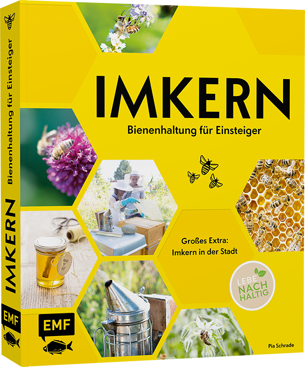 Imkern – Bienenhaltung für Einsteiger