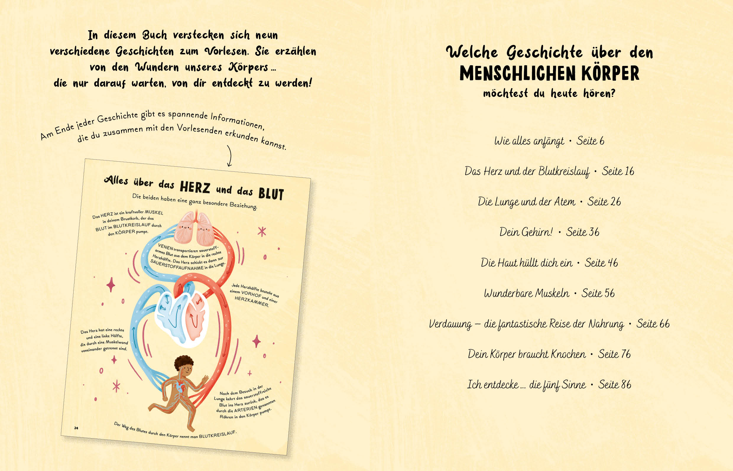 apiwebsitedatei8590285902
