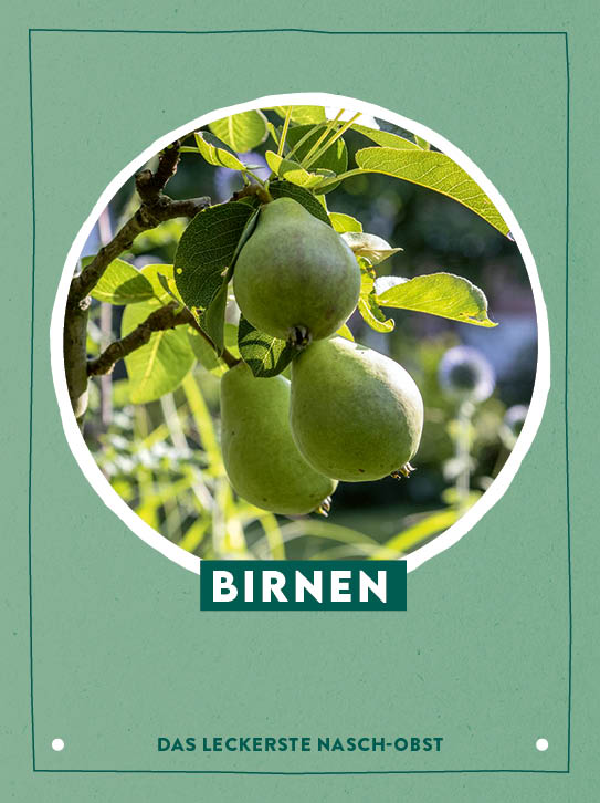 apiwebsitedatei102080102080